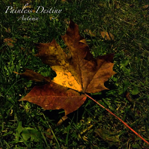 男人强入女人下身动漫视频
